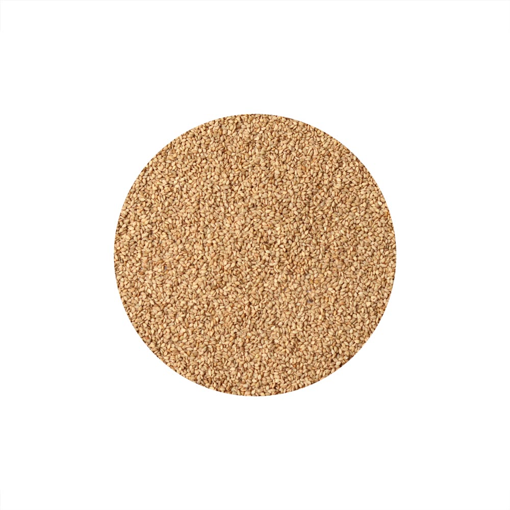 Sésamo Tostado 125g